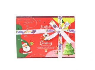 ETS12 pyramidek Santa, BIO